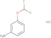 3-(Difluoromethoxy)aniline hydrochloride