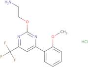 2-{[4-(2-Methoxyphenyl)-6-(trifluoromethyl)pyrimidin-2-yl]oxy}ethan-1-amine hydrochloride
