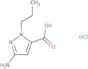 3-Amino-1-propyl-1H-pyrazole-5-carboxylic acid hydrochloride