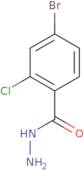 4-Bromo-2-chlorobenzhydrazide
