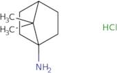 7,7-Dimethylbicyclo[2.2.1]heptan-1-amine hydrochloride