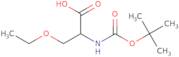 2-{[(tert-Butoxy)carbonyl]amino}-3-ethoxypropanoic acid