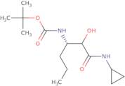 Carbamic acid, N-[(1S)-1-[2-(cyclopropylamino)-1-hydroxy-2-oxoethyl]butyl]-, 1,1-dimethylethyl est…