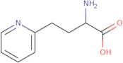 2-Amino-4-(pyridin-2-yl)butanoic acid