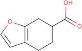 4,5,6,7-Tetrahydrobenzofuran-6-carboxylic acid