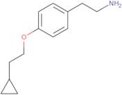 2-[4-(2-Cyclopropylethoxy)phenyl]ethylamine