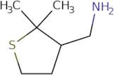 (2,2-Dimethylthiolan-3-yl)methanamine