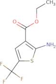 Ethyl 2-amino-5-(trifluoromethyl)thiophene-3-carboxylate