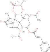 7β-Acetoxytaxuspine C