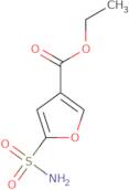 5-sulphamoyl-furan-3-carboxylic acid ethyl ester