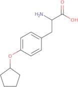 2-Amino-3-(4-cyclopentyloxyphenyl)propanoic acid