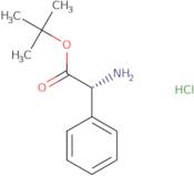 (R)-Phenylglycine tert-butyl ester hydrochloride