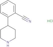 2-(Piperidin-4-yl)benzonitrile hydrochloride