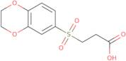 3-(2,3-Dihydro-benzo[1,4]dioxine-6-sulfonyl)-propionic acid