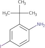 2-tert-Butyl-4-iodo-phenylamine