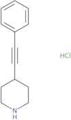 4-(phenylethynyl)piperidine hydrochloride