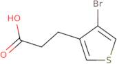 3-(4-Bromothiophen-3-yl)propanoic acid