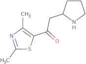 1-(2,4-Dimethyl-1,3-thiazol-5-yl)-2-pyrrolidin-2-ylethanone