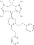 8-[3,4-Bis(pyridin-2-ylmethoxy)phenyl]-2,2-difluoro-4,6,10,12-tetramethyl-1-aza-3-azonia-2-boranuidatricyclo[7.3.0.03,7]dodeca-4,6,8 ,10-tetraene