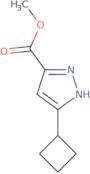 Methyl 3-cyclobutyl-1H-pyrazole-5-carboxylate