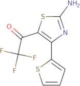 1-[2-Amino-4-(thiophen-2-yl)-1,3-thiazol-5-yl]-2,2,2-trifluoroethan-1-one