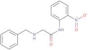 2-(Benzylamino)-N-(2-nitrophenyl)acetamide