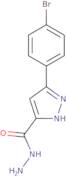 3-(4-Bromophenyl)-1H-pyrazole-5-carboxylic acidhydrazide