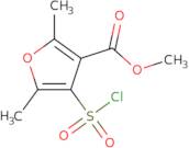 Methyl 4-(chlorosulfonyl)-2,5-dimethyl-3-furoate