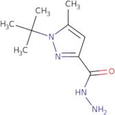 1-(tert-Butyl)-5-methyl-1H-pyrazole-3-carbohydrazide