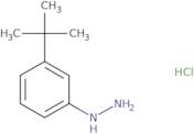 3-(tert-Butyl)phenylhydrazine hydrochloride