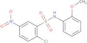 2-Chloro-N-(2-methoxyphenyl)-5-nitrobenzene-1-sulfonamide