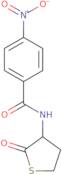 4-Nitro-N-(2-oxothiolan-3-yl)benzamide