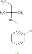 [(2,4-Dichlorophenyl)methyl](2-methylbutan-2-yl)amine