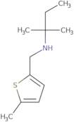 2-Methyl-N-[(5-methylthiophen-2-yl)methyl]butan-2-amine