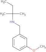 [(3-Methoxyphenyl)methyl](2-methylbutan-2-yl)amine