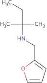 (Furan-2-ylmethyl)(2-methylbutan-2-yl)amine