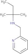 N-(tert-Pentyl)-N-(2-pyridinylmethyl)amine