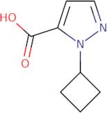 1-Cyclobutyl-1H-pyrazole-5-carboxylic acid