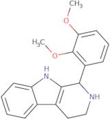 1-(2,3-Dimethoxyphenyl)-1H,2H,3H,4H,9H-pyrido[3,4-b]indole