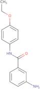 3-Amino-N-(4-ethoxyphenyl)benzamide