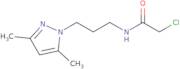 2-Chloro-N-[3-(3,5-dimethyl-1H-pyrazol-1-yl)propyl]acetamide