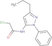 2-Chloro-N-(1-phenyl-3-propyl-1H-pyrazol-5-yl)acetamide