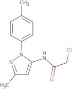 2-Chloro-N-[3-methyl-1-(4-methylphenyl)-1H-pyrazol-5-yl]acetamide