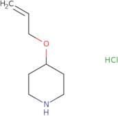 4-(Allyloxy)piperidine hydrochloride