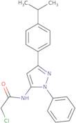 2-Chloro-N-{1-phenyl-3-[4-(propan-2-yl)phenyl]-1H-pyrazol-5-yl}acetamide