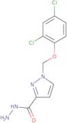 1-[(2,4-Dichlorophenoxy)methyl]-1H-pyrazole-3-carbohydrazide