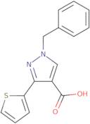 1-Benzyl-3-(thiophen-2-yl)-1H-pyrazole-4-carboxylic acid