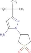 5-tert-Butyl-2-(1,1-dioxothiolan-3-yl)pyrazol-3-amine