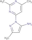 1-(2,6-Dimethylpyrimidin-4-yl)-3-methyl-1H-pyrazol-5-amine