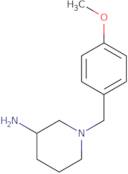 1-[(4-Methoxyphenyl)methyl]piperidin-3-amine